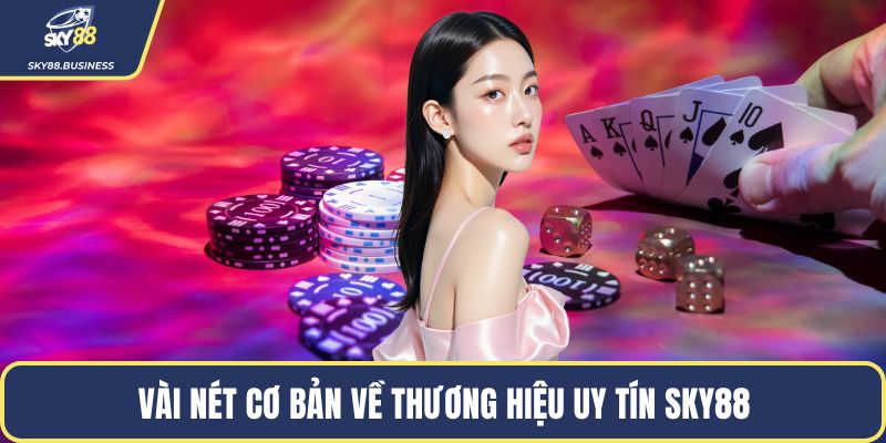 Vài nét cơ bản về thương hiệu uy tín SKY88